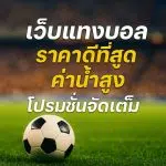 เว็บแทงบอล-ราคาดีที่สุด